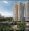 Express Zenith Elevation 2