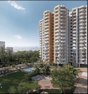 Express Zenith Elevation 1