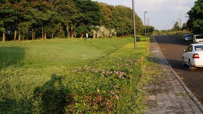 Tricone City Khandwa Road Indore Elevation 3