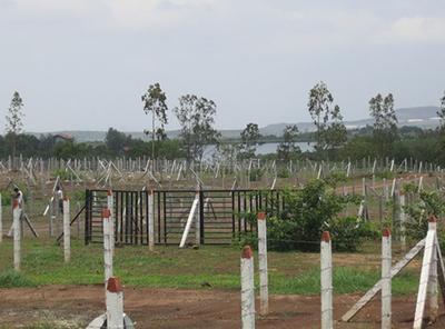 Project Image of 1867.0 - 5845.0 Sq.ft Residential Plot Plot for buy in Landscapes Nisargsrishti