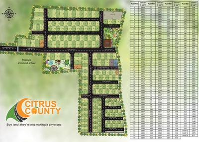 Project Image of 598.0 - 2467.0 Sq.ft Residential Plot Plot for buy in Janani Citrus County Phase I