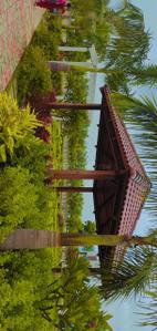 Project Image of 1420.3 - 7688.34 Sq.ft Residential Plot Plot for buy in Sia Elite Serene Palms