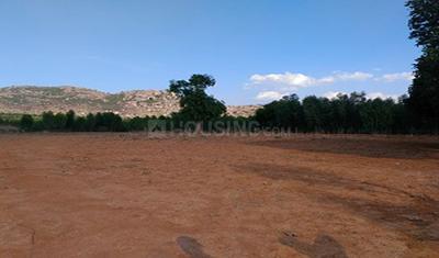 Project Image of 1200.0 - 2400.0 Sq.ft Residential Plot Plot for buy in Paratus Green Meadows