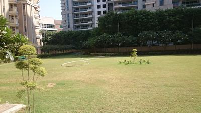 Galaxy Apartment Landscape Garden and Tree Planting 1