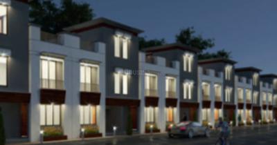 Project Images