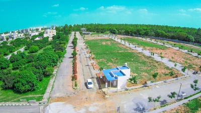 Gallery Cover Pic of Sizzle Varada Sizzle Evergreen