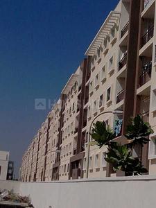 Project Images