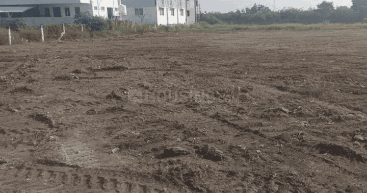 Gallery Cover Pic of Tncd Nexus City