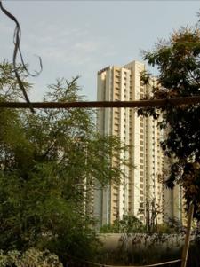 Project Image of 720.0 - 882.0 Sq.ft 1 BHK Apartment for buy in Lodha The Codename Fortune Forever