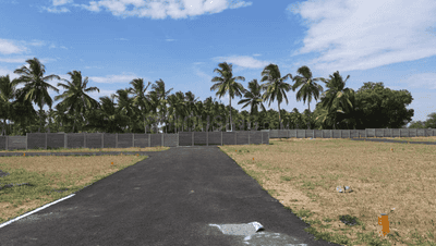 Project Images