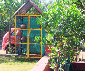 Muniya farms Main Other 2