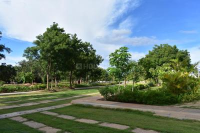 Project Image of 4800.0 - 6000.0 Sq.ft Residential Plot Plot for buy in The Ampelon 2