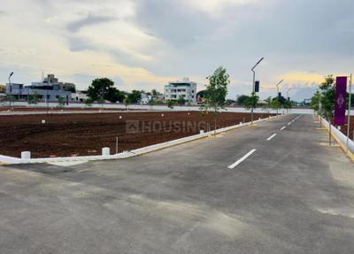 Project Image of 741.0 - 3624.0 Sq.ft Residential Plot Plot for buy in Maass Grand