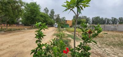 Project Image of 900.0 - 1820.0 Sq.ft Residential Plot Plot for buy in Vimaan Vihar