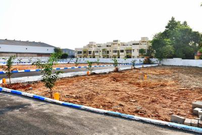Project Image of 795.0 - 2400.0 Sq.ft Residential Plot Plot for buy in Value SERASA EDEN