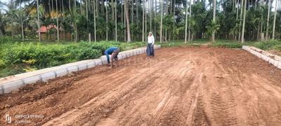 Savitri Devi Lake Front Layout Construction Status Dec-25 1