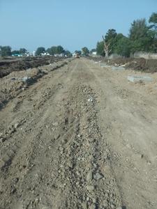 MSD Golden Hills Elevation 1