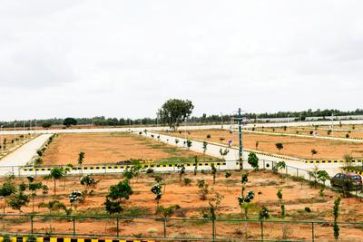 Project Image of 1200.0 - 2400.0 Sq.ft Residential Plot Plot for buy in 42 Estates Adonis