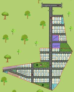 Project Images