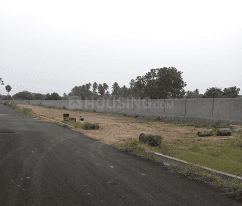 Project Images