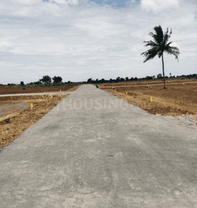 Project Images