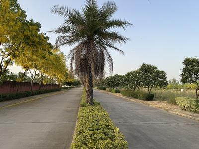 Project Image of 100 Sq.ft Residential Plot / Land for sale in Patan Kalan for Rs. 1400000