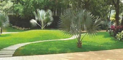Project Image of 1110.0 - 1665.0 Sq.ft 2 BHK Apartment for buy in Bhuvana Palace