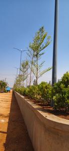 Adrustar Terra Capital Amenities 2