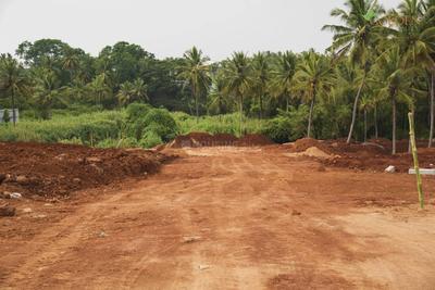 Project Image of 1163.0 - 5000.0 Sq.ft Residential Plot Plot for buy in Golden Valley