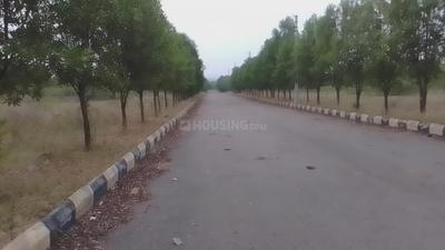 Project Image of 1485.0 - 1980.0 Sq.ft Residential Plot Plot for buy in Samooha Golden Gate