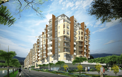 Omcon Reign Forest Elevation 2