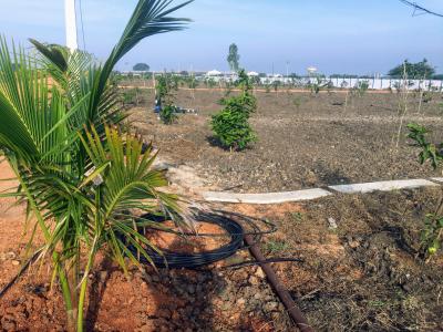 Project Image of 1089.0 - 5445.0 Sq.ft Residential Plot Plot for buy in Fortune Samskruthi Farms