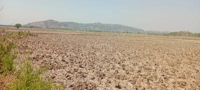 Plot Wale Dronagiri Plot 1