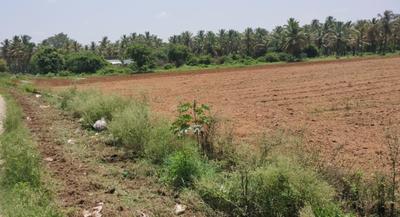 Project Image of 1200.0 - 1500.0 Sq.ft Residential Plot Plot for buy in PR Adarsha Nagar