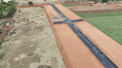 Project Images