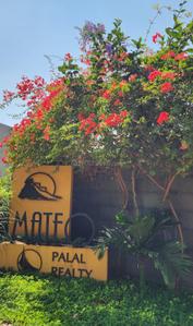 Project Image of 3017.0 - 3690.0 Sq.ft 4 BHK Villa for buy in Palal The Mateo