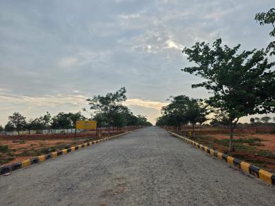 Project Image of 2174.31 - 6167.72 Sq.ft Residential Plot Plot for buy in Shiva Nandi Phase 1