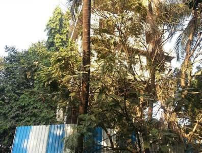Gallery Cover Pic of Tridhaatu Apartment