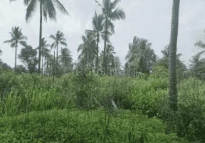 Project Image of 1421.7 - 4684.13 Sq.ft Residential Plot Plot for buy in Fortius Good Earth