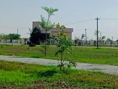 Project Image of 600.0 - 1500.0 Sq.ft Residential Plot Plot for buy in Vijayaram Green City