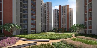 DTC Capital City Landscape Garden and Tree Planting 3