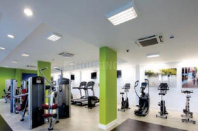 Sri Sai Elite Gymnasium 1