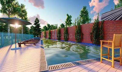 Premio Swimming Pool 2