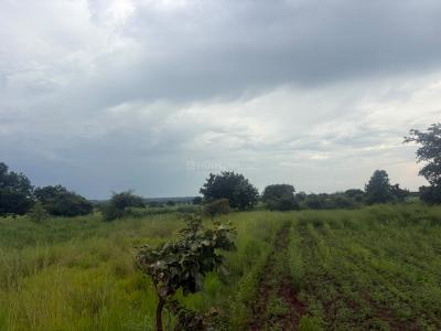 Project Image of 2700.0 - 10800.0 Sq.ft Residential Plot Plot for buy in Creos The Roots