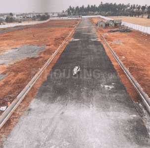 Project Images