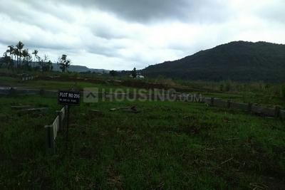 Project Image of 1091.0 - 9267.0 Sq.ft Residential Plot Plot for buy in Roha Mega City