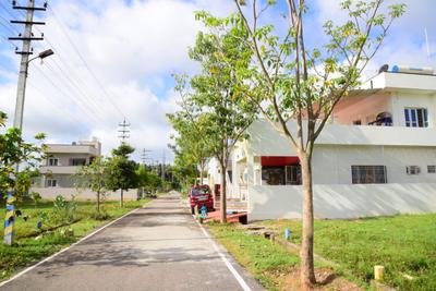 Project Image of 1200.0 - 2400.0 Sq.ft Residential Plot Plot for buy in Bhima Punarvasu