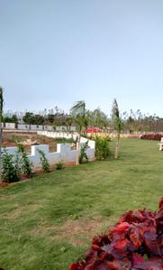 Project Image of 1450.01 - 3869.09 Sq.ft Residential Plot Plot for buy in Swathi Tapovan