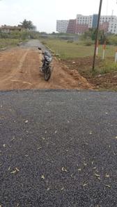 Project Image of 575.98 - 16791.7 Sq.ft Residential Plot Plot for buy in Sri Vari Thirumala Garden