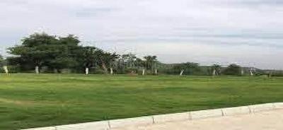 Project Image of 1800.0 - 2400.0 Sq.ft Residential Plot Plot for buy in Magnolia Temple Tree